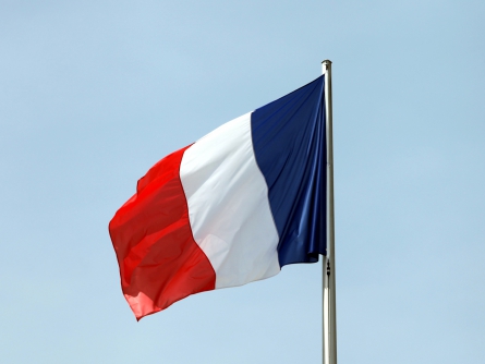 Fahne von Frankreich, über dts Nachrichtenagentur