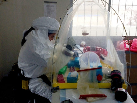 Ebola-Untersuchung, über dts Nachrichtenagentur