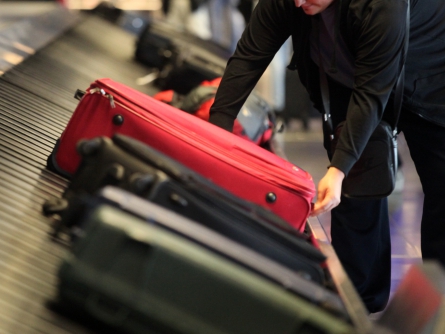 Reisende an einem Gepäckband, über dts Nachrichtenagentur