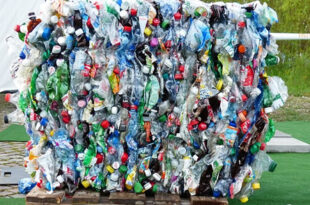 Plastikflaschen Recycling