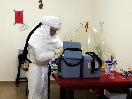 Ebola-Untersuchung, über dts Nachrichtenagentur