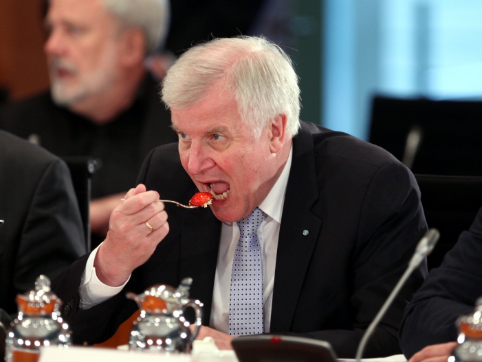 Staatsrechtler: Seehofer könnte Staatskrise auslösen