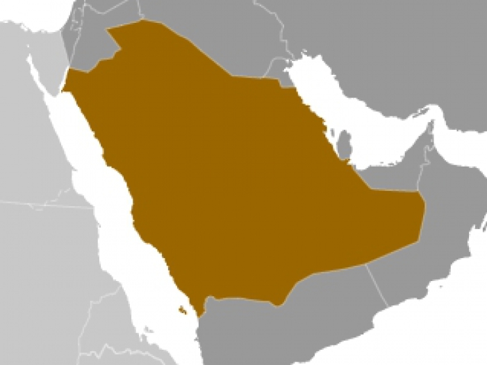 USA kritisieren Saudi-Arabien