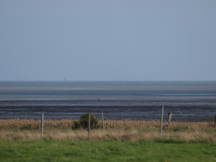 Bundesregierung plant ganzjährige Fangverbote in Teilen der Nordsee