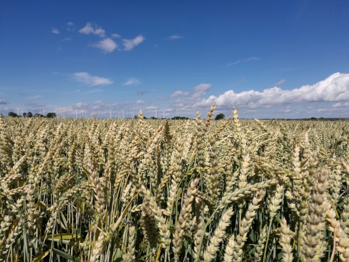 Schmidt für Steigerung der Öko-Landwirtschaft auf 20 Prozent Schmidt für Steigerung der Öko-Landwirtschaft auf 20 Prozent