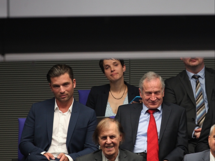 Petry kritisiert AfD