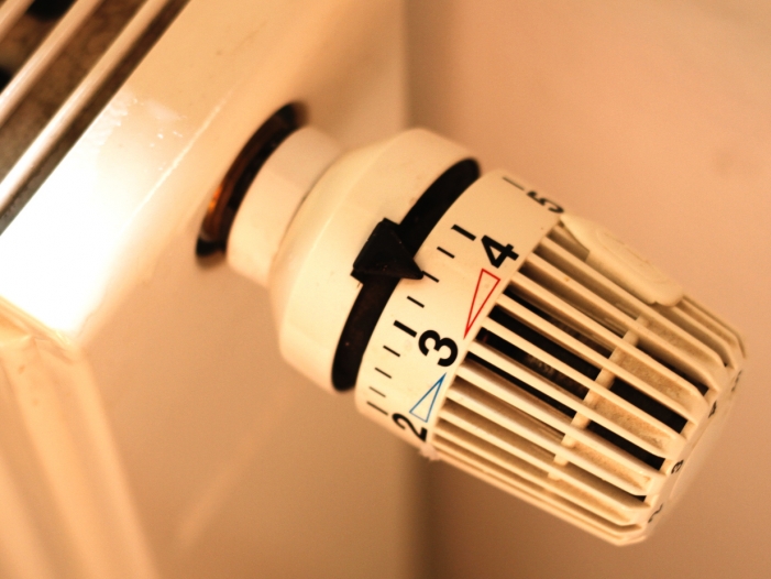 Statistiker: Gaspreise im letzten Jahr gesunken