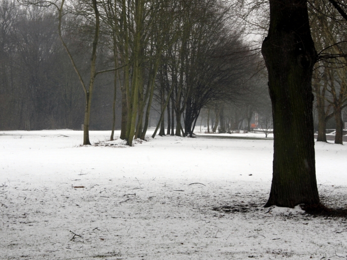 Waldbesitzer warnen vor Betreten verschneiter Wälder