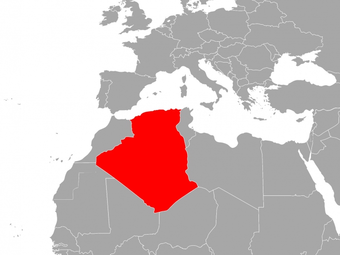 Berlin genehmigte Rüstungsgüter im Milliardenwert für Algerien