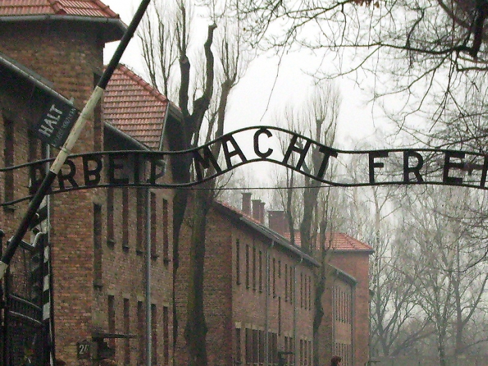 AfD gegen Pflichtbesuche in Holocaust-Gedenkstätten