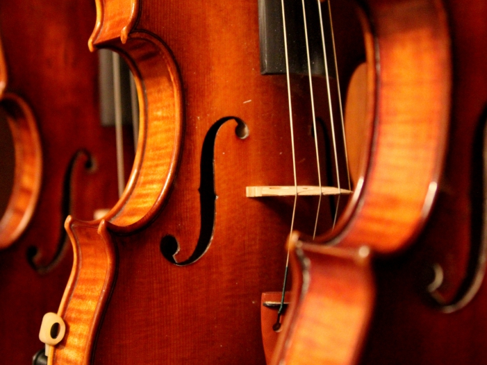 Grünen-Fraktionschefin will Existenzgeld für Kreative in Not