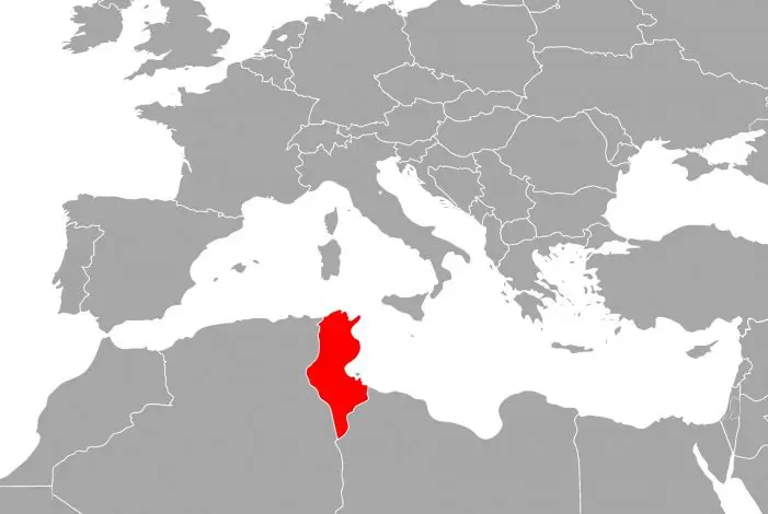 Tunesiens Parlamentspräsident ruft zu friedlichen Protesten auf 