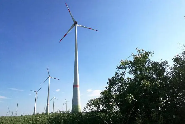 Expertin: Deutschland braucht sieben neue Windräder pro Tag 
