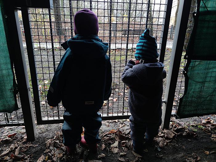 1,8 Millionen Minderjährige auf Grundsicherung angewiesen 1,8 Millionen Minderjährige auf Grundsicherung angewiesen