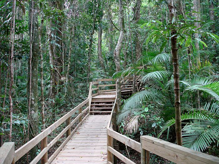 Studie: Ökosysteme könnten schneller kollabieren als gedacht