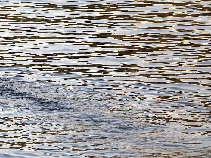 Umweltministerium unterstützt Pläne für Mittelrhein-Vertiefung Umweltministerium unterstützt Pläne für Mittelrhein-Vertiefung