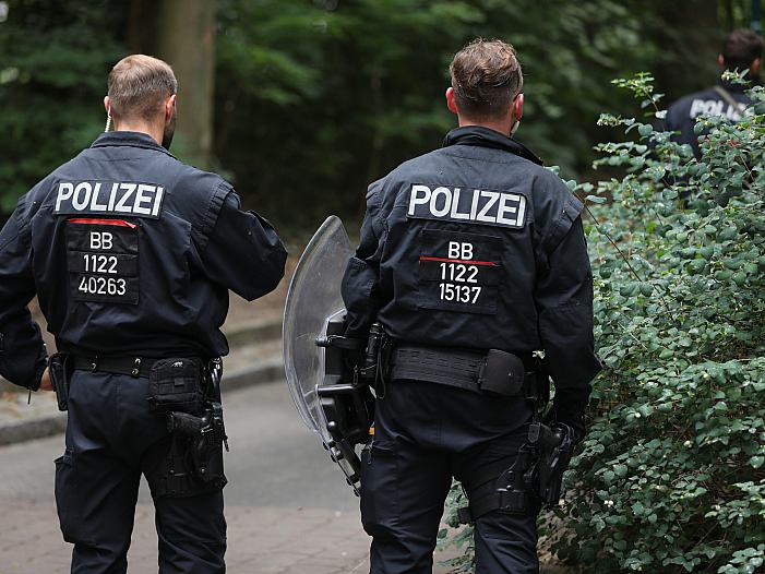 Löwensuche: Fundtierbeauftragte hat Zweifel an Wildschwein-Theorie