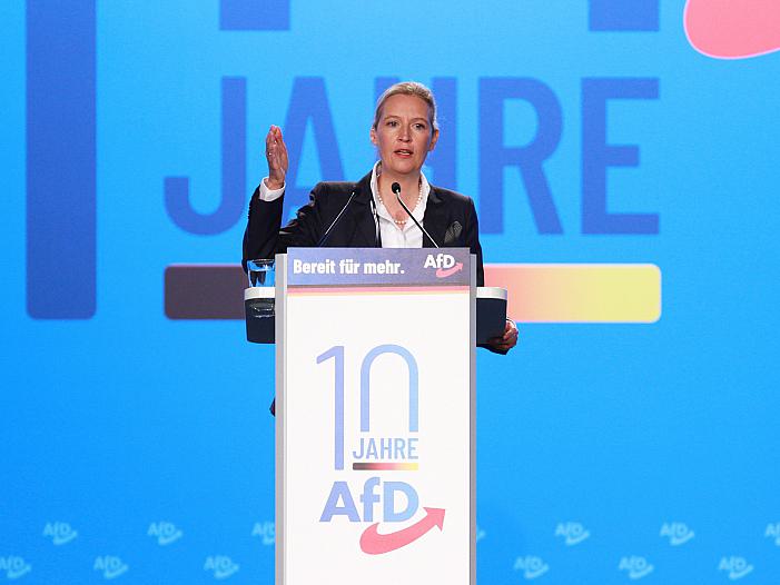 Weidel fordert "Bollwerk gegen das grüne Narrenschiff"