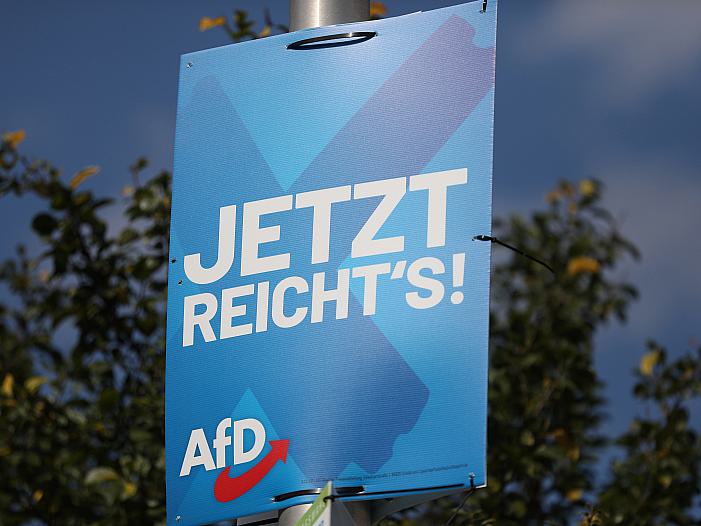 Wirtschaftsweise warnt vor Standortnachteilen bei AfD-Wahlsiegen
