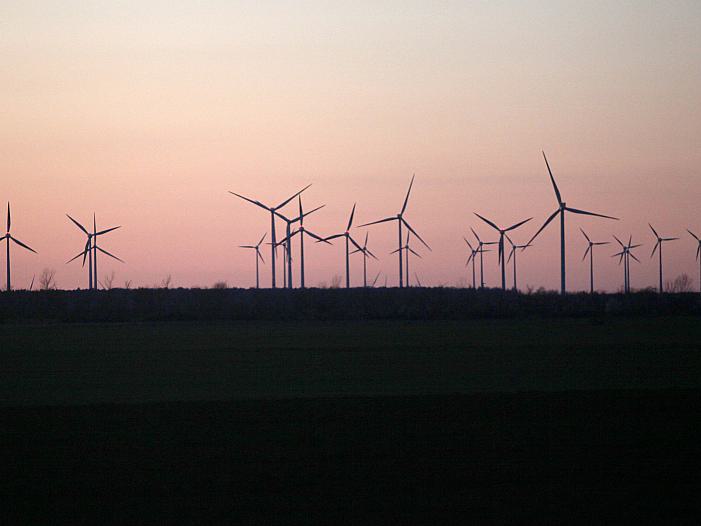 Hamburger Finanzsenator fordert Sondervermögen für Klimaschutz